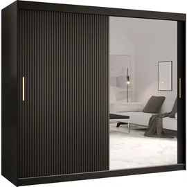 Mirjan24 Schwebetürenschrank Riflo Slim 2 200 x 200 x 0 cm Schwarz/Gold