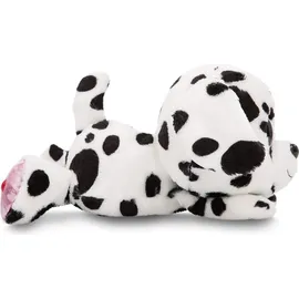 NICI GLUBSCHIS Dalmatiner Dottino