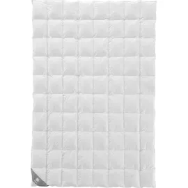 Musterring Daunenbettdecke MUSTERRING "Dreamz", weiß, B:200cm L:220cm, Bezug: 100% Baumwolle. Füllung: 100% Daunen, Bettdecken, Bettdecke 135 x 200 cm & weiter Größen. Hergestellt in Deutschland