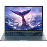 Blackview GamiBook 8 16'' AMD Ryzen 7 7735HS 32 GB RAM 1 TB SSD Win 11 Pro Grau