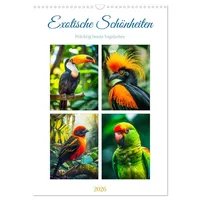 Calvendo Exotische Schönheiten - prächtig bunte Vögel (Wandkalender 2026
