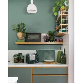 Dualit Classic Toaster Premium 2-Schlitz inkl. Gratis Sandwichzange Rot