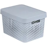 Curver Aufbewahrungsbox INFINITY 36,3 x 27 x 22,2 cm 1-tlg. hellgrau