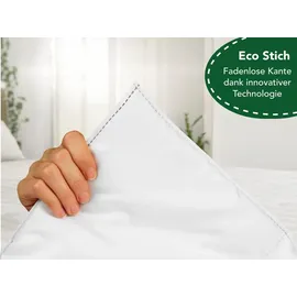 Dreamstar 2er Set Bettdecken | Winter Bettdecke für die kalte Jahreszeit | 135 x 200 cm | DREAMSTAR Eco | Weiß