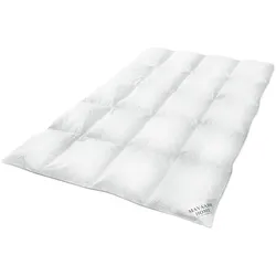 HS48 WINTER Daunendecke Bettdecke Oberbett Decke 70 % Daunen - 30 % Federn - 200x220 cm 2200g