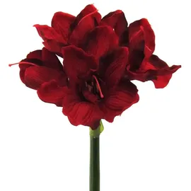 Gasper Kunstblume Kunstblume AMARYLLIS ca. 66cm. 1 Stängel mit 4 Blüten., Gasper, Höhe 66.00 cm rot