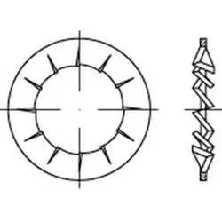 DIN 6798 Fächerscheibe Federstahl Form I 21mm