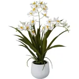 Creativ-green Kunstpflanze Cambria-Orchidee, weiß im Keramik-Topf, Höhe 50 cm