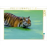 Calvendo Ein Motiv aus dem Kalender Tiger - die