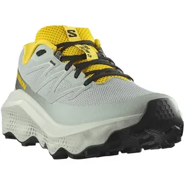 Salomon Ultra Flow 2 Herren Wrought Iron / Metal / Incaberry 44