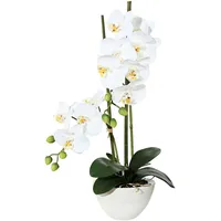 Creativ green künstliche Pflanze Phalaenopsis, 50cm in Keramikschale 14,5x8,5cm