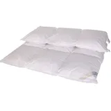 Betten Hofmann Daunenbettdecke Betten Hofmann Luxus Kassetten Daunendecke Daunenbett 3x4 135x200cm, Füllung: 1300g neue weiße kanadische Landdaunen, Klasse 1 (100% Daunen) weiß