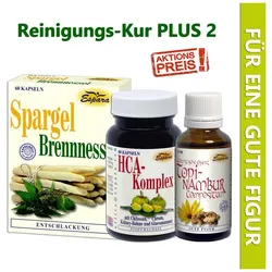 Reinigungs-Kur PLUS 2 (Set)