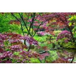 Fototapete PAPERMOON "GARTEN-BLUMEN BÄUME PFLANZEN PARK STEINE BLÜTEN WALD", bunt, B:3,50m L:2,60m, Vlies, Tapeten
