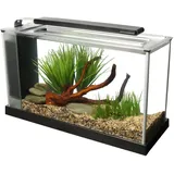 Fluval Spec 5 Nano Aquarium, mit 19L Fassungsvermoegen, in schwarz