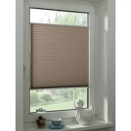 GARDINIA Plissee taupe Concept