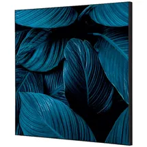 Showdown Displays Bilderrahmen Wanddekoration blau 40x40 cm 1 St.