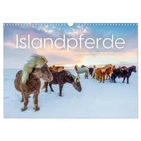 Calvendo Islandpferde - Die süßen Pferde im Norden. (Wandkalender
