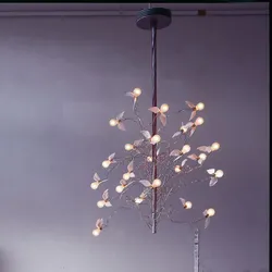 Birds Birds Birds