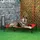 PawHut Hundekorb 122 x 92 x 23 cm rot