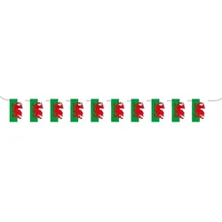 Wales Wimpelkette 5m
