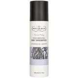 Percy & Reed Session Styling Volumizing Trockenshampoo 200 ml