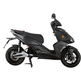 GT UNION e-Striker 25 3000 Watt 25 km/h Schwarz