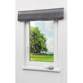 Lysel Outlet Raffrollo grau, transparent mit Schnurzug (B x H) 140cm * 170cm"