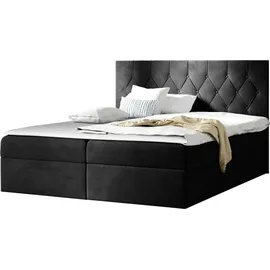 Mirjan24 Boxspringbett Loloz, Doppelbett mit Bettkasten und Matratze, Ehebett (Farbe: Mikrofaza 0015, Größe: 160x200 cm) - Dunkelgrau