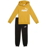 Puma Essentials No.1 Logo Sweat Suit TR PS archive gold (62) 104
