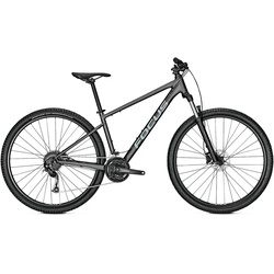 Focus Whistler 3.6 Grau Modell 2025