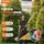 Vevor 6-in-1 Heckentrimmer Benzin-Heckenschere 33CC Langstielheckenschere 0,8L