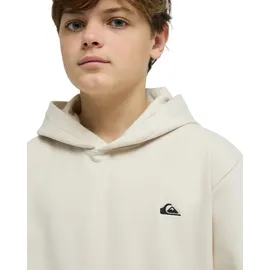 QUIKSILVER Basic White 134