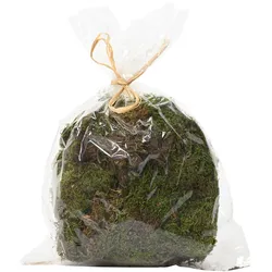 Moos Natur zum Basteln und Dekorieren 80g grün