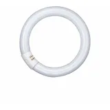 Osram LUMILUX T9 C 32 W/865 G10Q