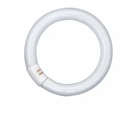 Osram LUMILUX T9 C 32 W/865 G10Q