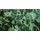 skatinger SUP-Board SKATINGER Jade 320 x 81 x 15 cm blau