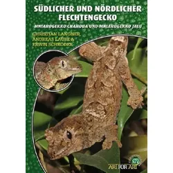 Südlicher und Nördlicher Flechtengecko