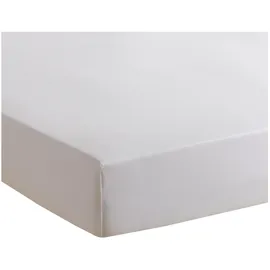 Traumschlaf Spannbettlaken Baumwolle-Jersey 180 x 200 - 200 x 200 cm weiß