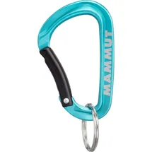 Mammut Mini Carabiner Classic Materialkarabiner Kletterausrüstung Blau/Türkis