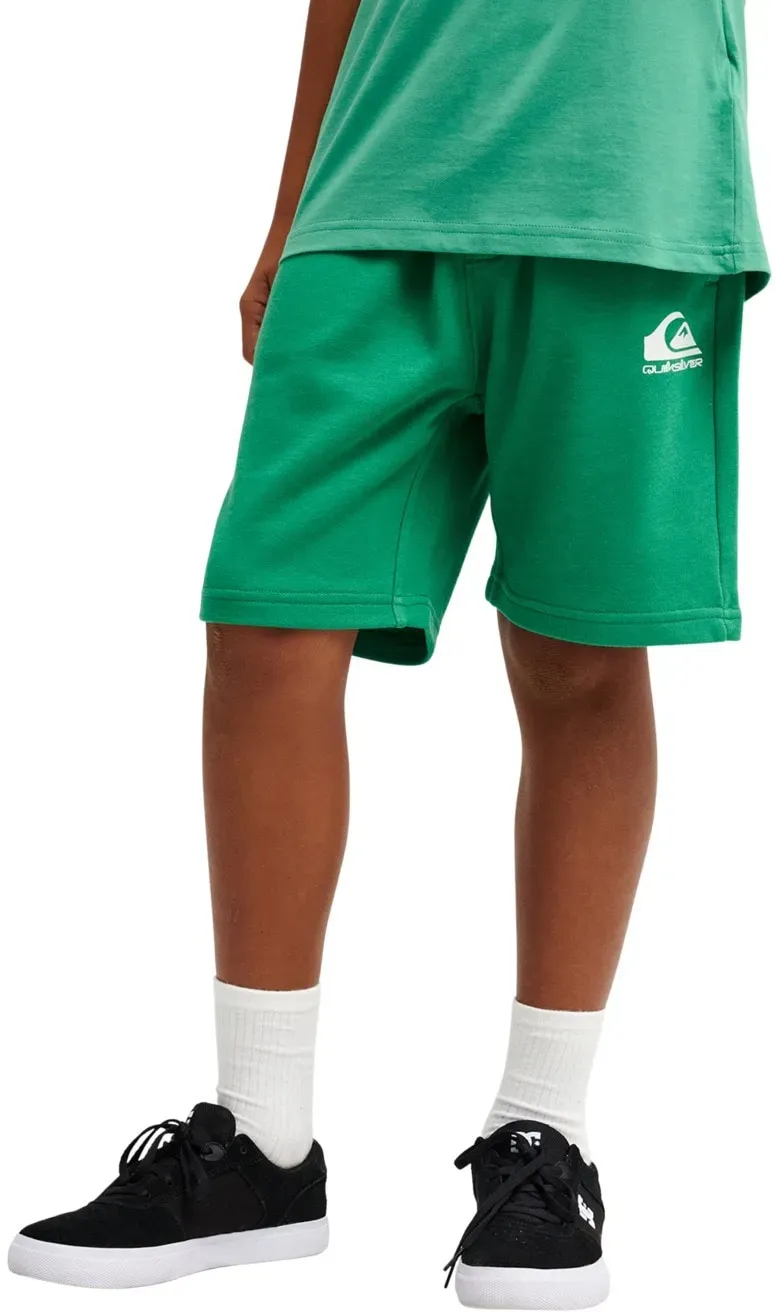 Bermudas QUIKSILVER 