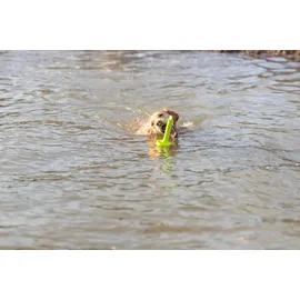 Trixie Dog Activity Mot-aqua 29 cm Gelb
