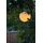 UBBINK Solar-Schwimmlampe LED Ø 25 cm Kunststoff H 23 cm mehrfarbig