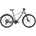 Bikes 50 grau