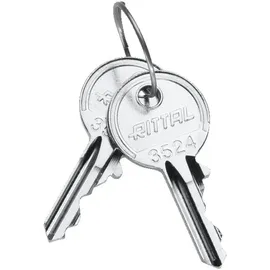 Rittal SZ 2532.000 Schaltschrankschlüssel Sicherheitsschließung Stahl 2St.