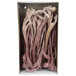 Flowerbox Geweih - rosa