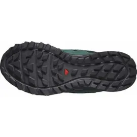 Salomon Wander GTX Herren Black/Darkest Spurce/Ibiza Blue 42 2/3