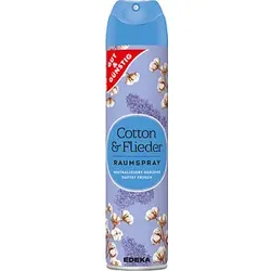 GUT&GÜNSTIG Raumspray frisch 300,0 ml, 1 St.