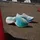 adidas Adizero Adios Pro 4 Damen Crystal White/Matte Silver/Glory Green 36