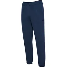 hummel Pulse Hosen Regular Blau XL